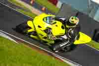 Evening Low_Mid Group Yellow Bikes